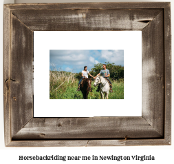 horseback riding near me in Newington, Virginia